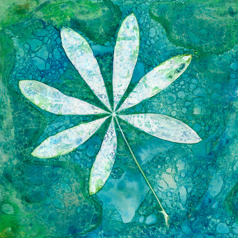 lupin leaf, cyanolumen print, IGPOTY 17 Square Crop