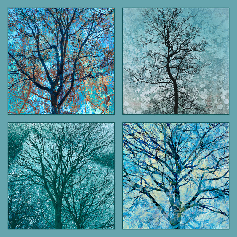 Winter trees, panel of 4