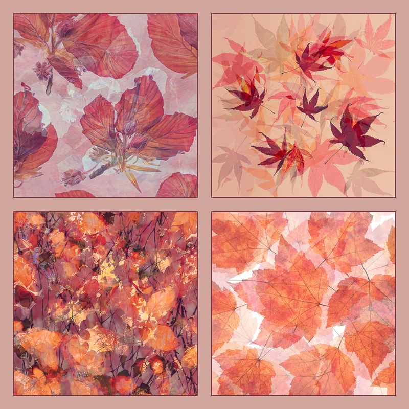 leaves, autumn, panel of 4