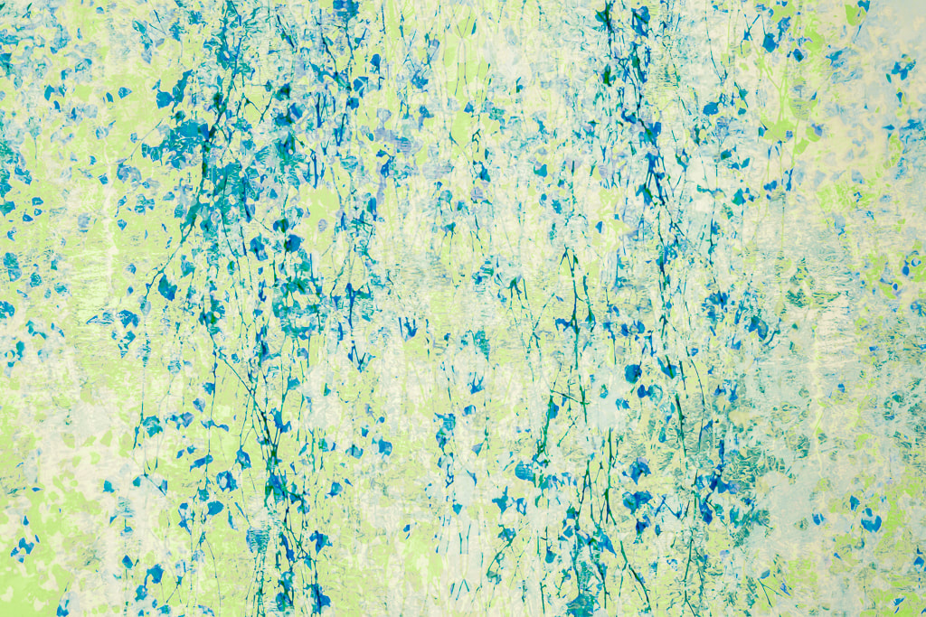 Birch trees, abstract, springtime, Forest of Dean