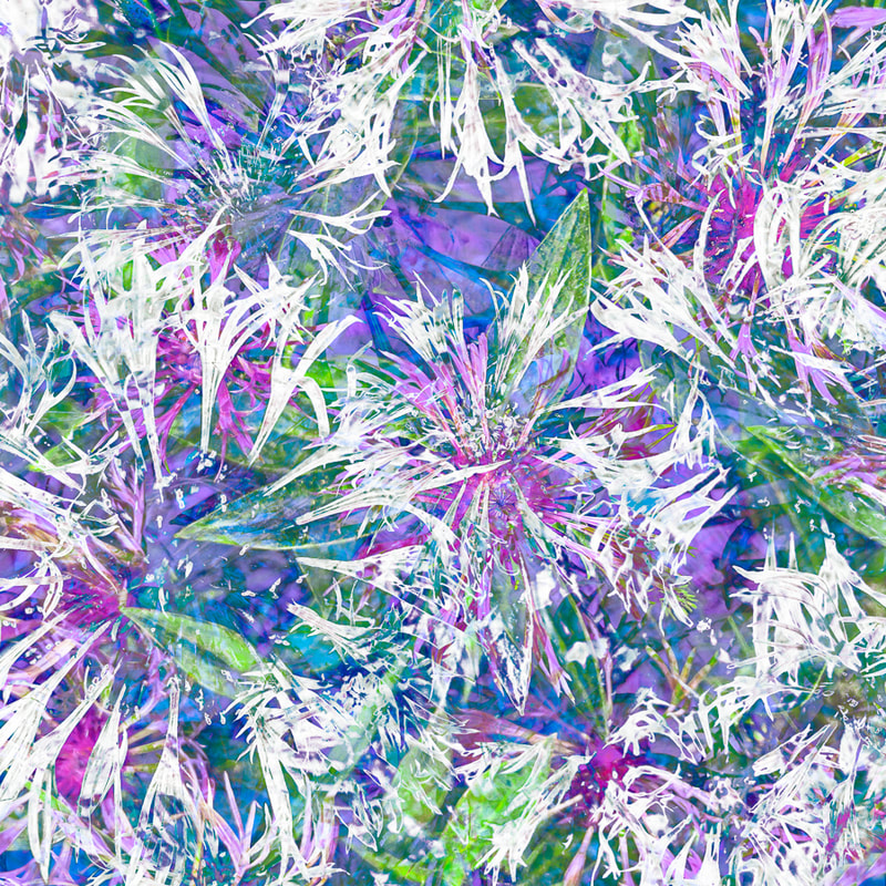 Colourful cornflower abstract