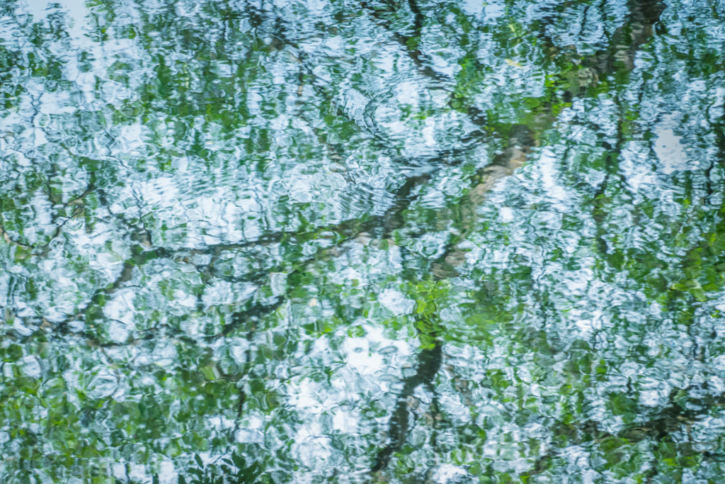 Summer reflections, River Derwent, Hathersage, Peak District