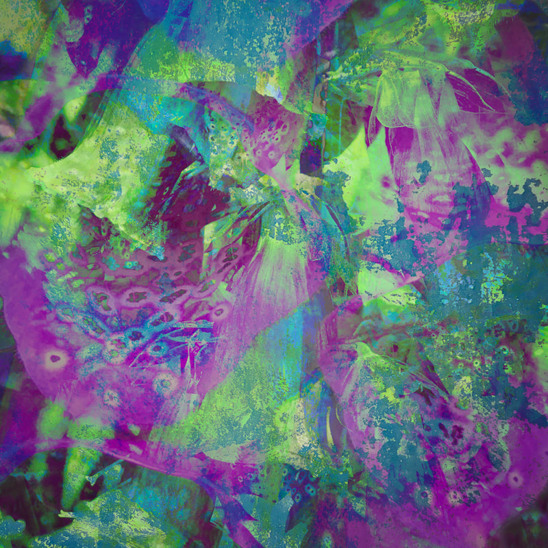 Foxglove abstract, Forest of Dean