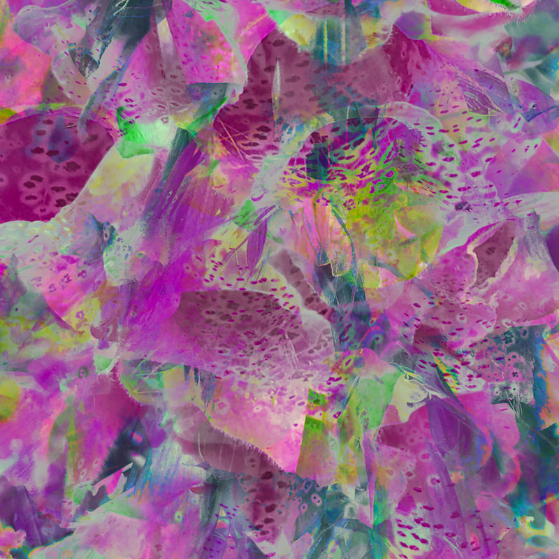 Foxglove abstract, Forest of Dean