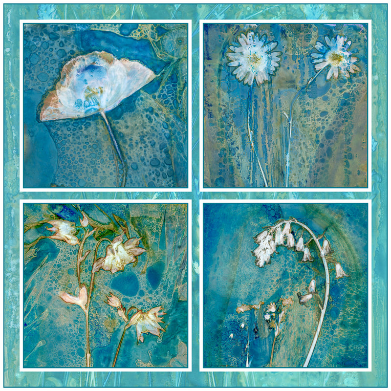 Garden of Solace, garden cyanolumen prints, garden flowers
