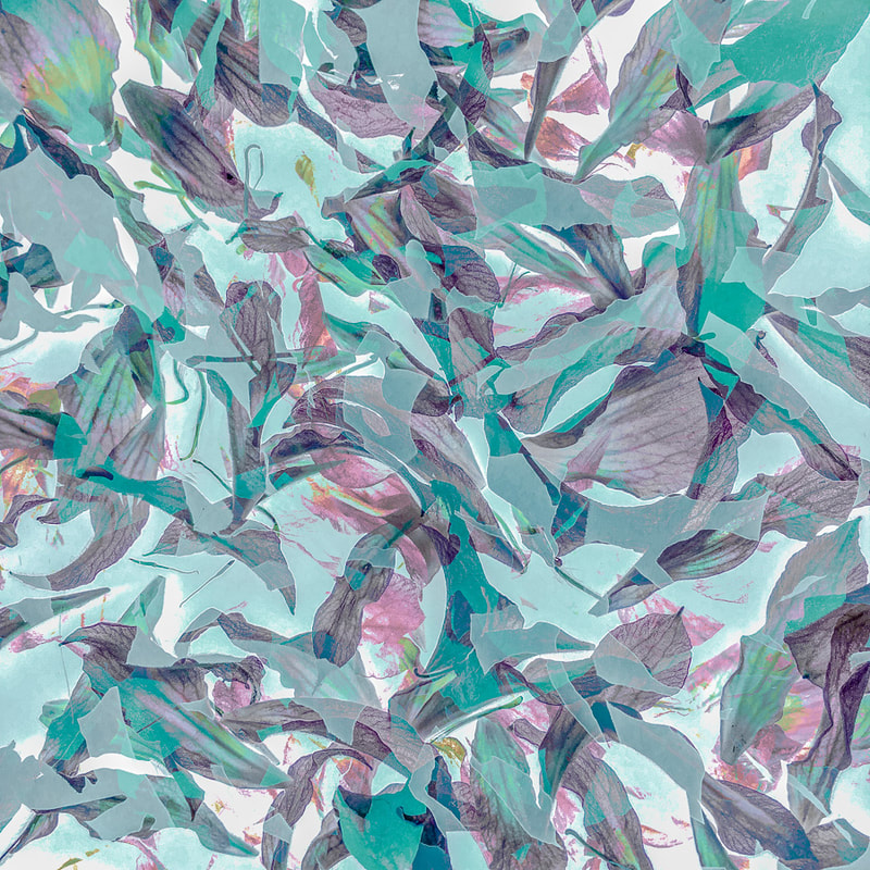 Abstract petal patterns, teal and pink