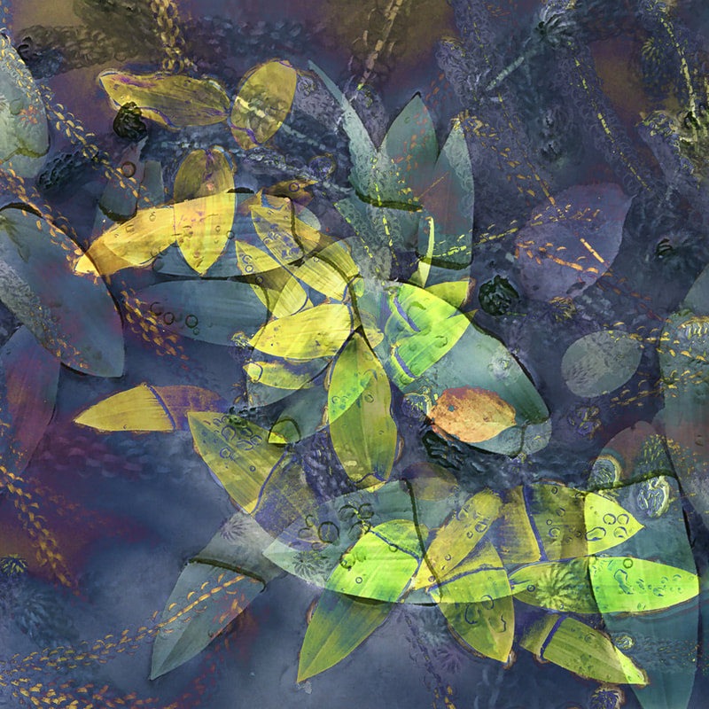 Pond Life, colourful abstract of pond plants, Forest of Dean
