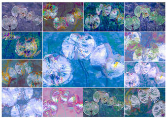 Water Lily Pad Abstract Montage