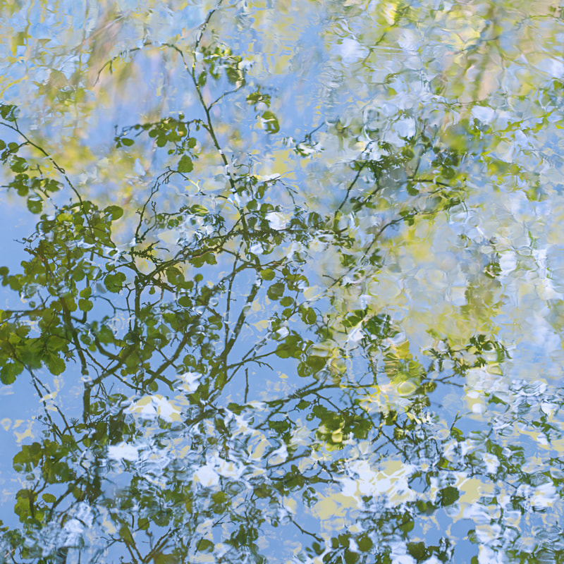 Abstract reflections, water patterns, Forest of Dean