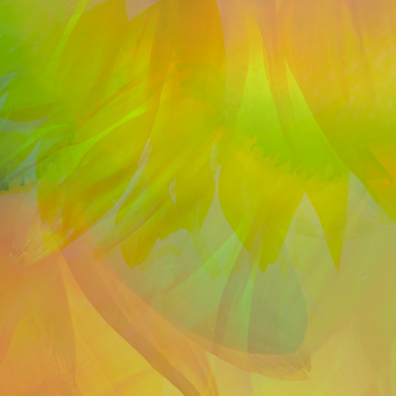 sunflower abstract, iphone multiple exposure