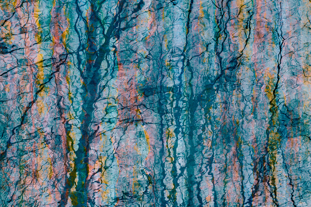 Reflections of winter trees, colourful abstract